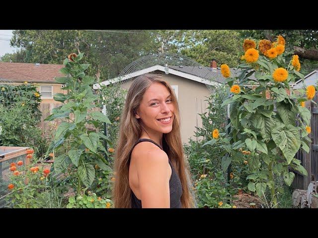 July 2023 Garden Tour - Growing Hundreds Of Pounds Of Food In My Backyard! Kansas Gardening