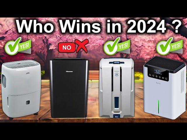 5 Best Dehumidifiers of 2024, Tested by Experts on Amazon