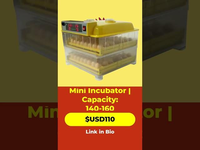 Efficient Mini Incubator for Optimal Egg Hatching