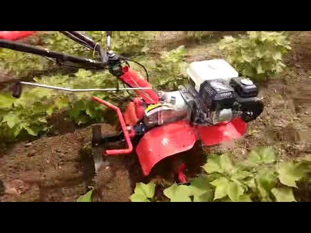 POWER WEEDER HYDERABAD INDIA BHAGWATI MACHINE TOOLS  +91 9866543131. "Shrachi"