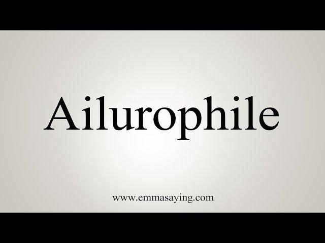 How To Say Ailurophile