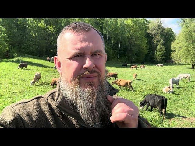 В табуні прибуває. Вийшли на випас 2025.  | Private Milk | Михайло Травецький | Велесова ферма