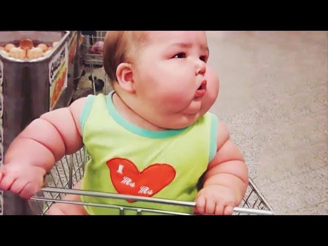 Cute Chubby Babies - Funniest Home Videos