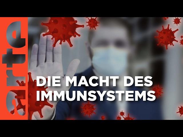 Unser Immunsystem - Wächter der Gesundheit | Doku HD | ARTE