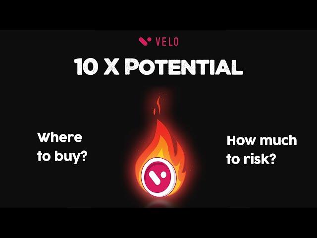 $VELO this token can give you a 10x