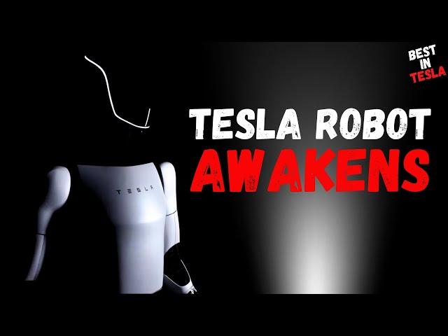 BREAKING: The Tesla Bot AWAKENS - Tesla's Optimus Robot Stuns AI Experts!