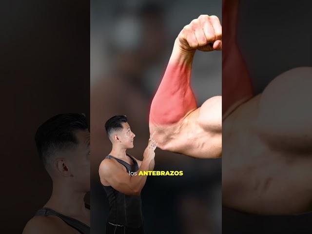 Como entrenar brazos de forma inteligente