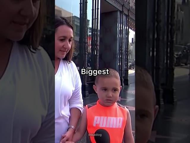 THIS INTERVIEW GETS THE FUNNIEST ANSWERS EVER