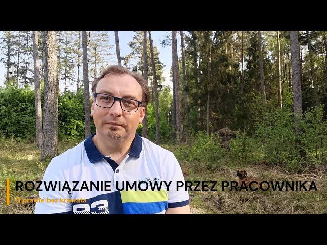 Rozwiązanie umowy o pracę przez pracownika bez okresu wypowiedzenia