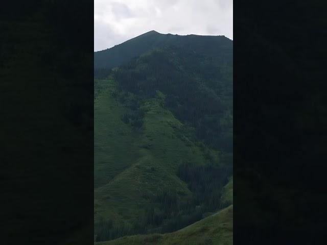 Әсем ән