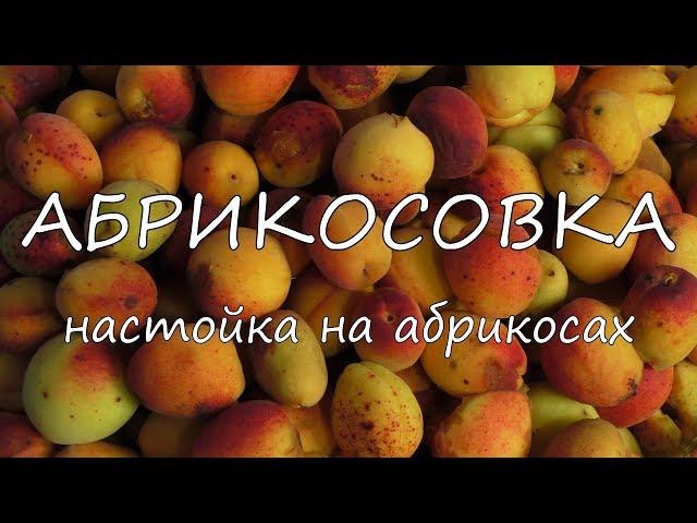 АБРИКОСОВКА. Настойка на абрикосах.