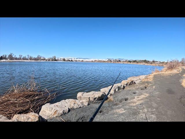 Exploring Denver’s Fishing Spots!!