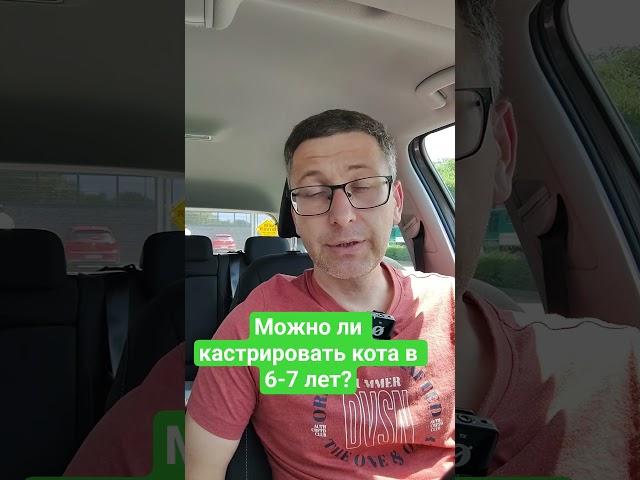 Можно ли кастрировать кота в 6-7 лет?
