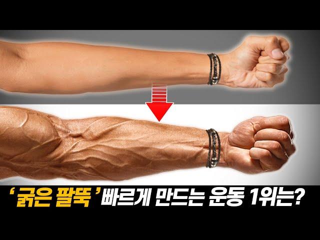 과학적으로 팔뚝(전완근) 가장 빠르게 키워주는 운동 1위는!?