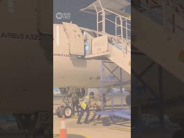 Airport Worker Falls From Plane at Airport in Indonesia | 10 News First