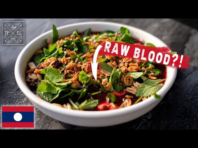 Vientiane FOOD TOUR!  | Incredible Laotian Laap + Raw Duck Blood | Laos Travel Vlog