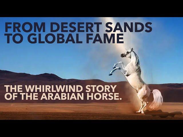 FROM DESERT SANDS TO GLOBAL FAME - The Whirlwind Story of the Arabian Horse