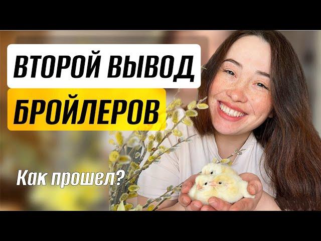 Воду животным больше НЕ НОСИМ! Облегчаем управу
