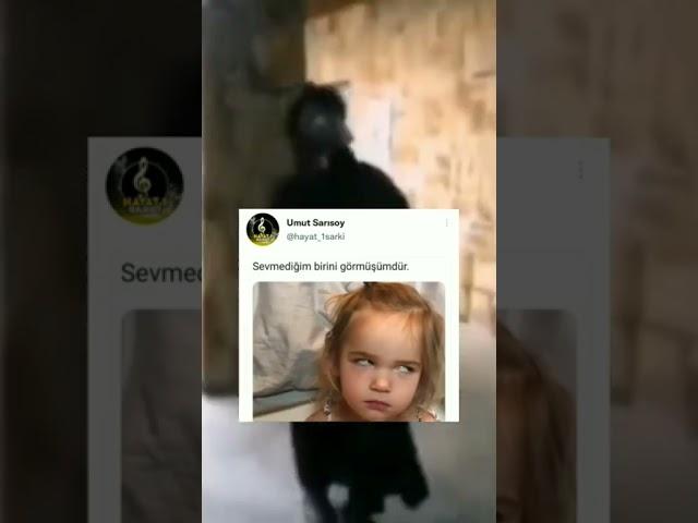 İnstagram - Twitter video #244 #tiktok #twitter #akımı