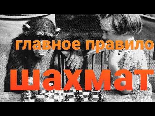 любительские шахматы - САМОЕ главное правило