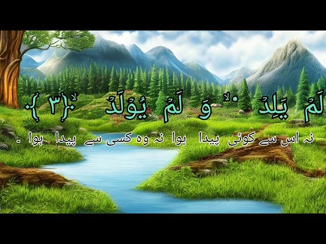 Recite Quran Beautifully| Tilawat Quran Best Voice| Surah Ikhlas Recite Quranic Vibes