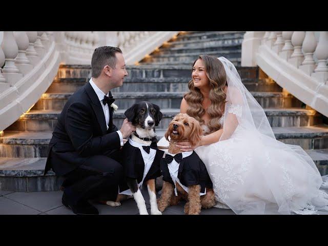 2024-11-09 -  Taylor & Joseph Wedding Flashback Clip @valeryshpakphotography #wedding #nyc