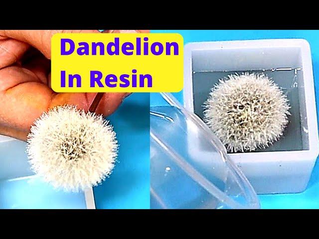 Resin Tutorial:  How to Cast a Dandelion Seed Head