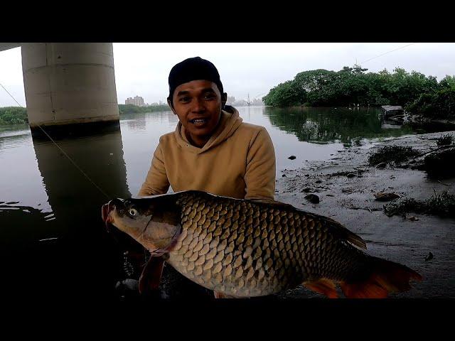 Terbesar Dari Yang Paling Besar Selama Saya Mancing || Jembatan Ini Sarangnya Ikan Mas Babon