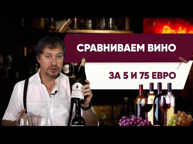 Сравниваем вино за 5 и за 75 евро