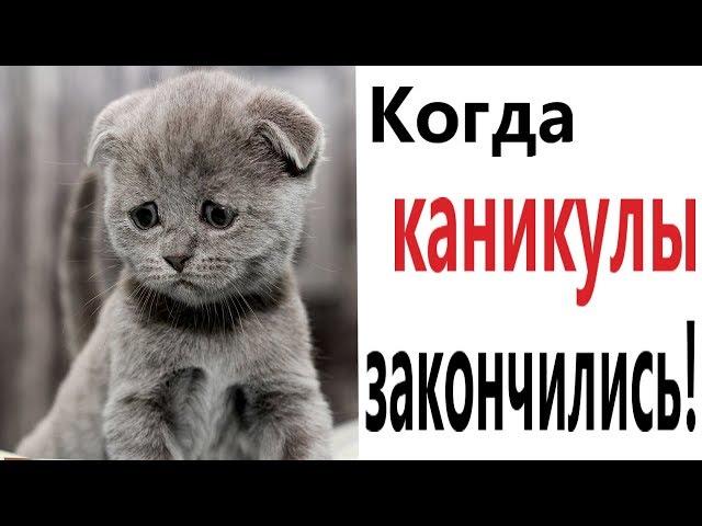 Лютые приколы  КОГДА КАНИКУЛЫ ЗАКОНЧИЛИСЬ!!! Самое смешное видео! РЖАКА ДО СЛЁЗ!  – Domi Show