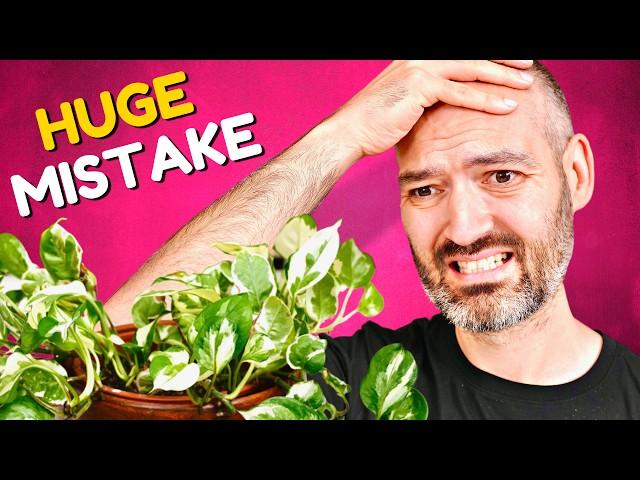 The ONE Plant Mistake You'll Regret Years Later