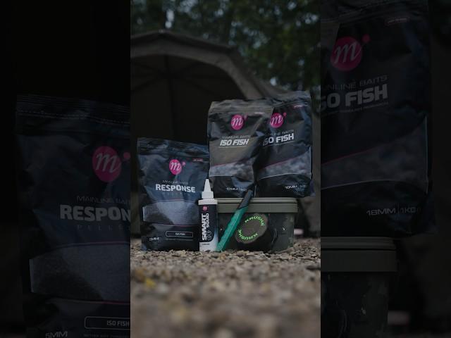 Out now - die Mainline Baits ISO FISH Range! ️ #kordagermany #carpfishing #shortsvideo