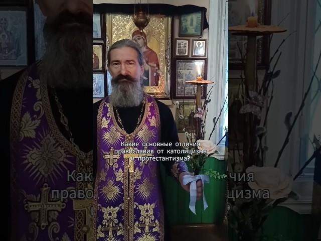 какие основные отличия православия от католицизма и протестантизма?