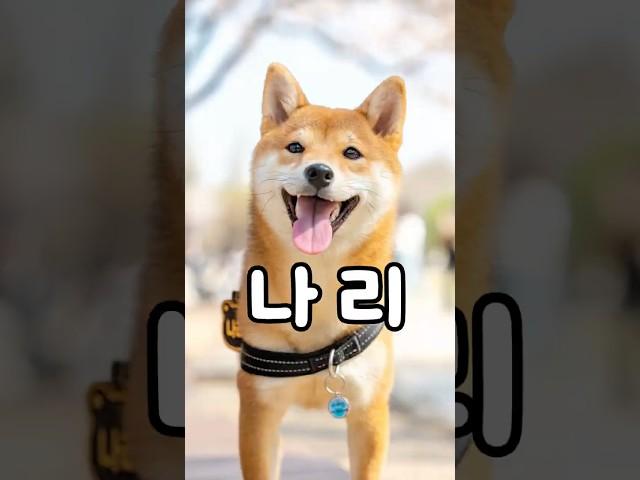 초보 유튜버에게 이런 반응이라고? #씨오댕 #shortsfeed #shorts
