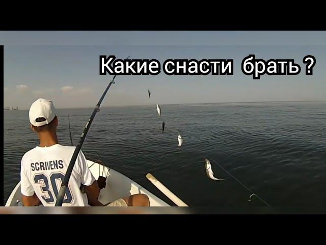 Ловля ставриды на Черном море.На что ловить и когда?