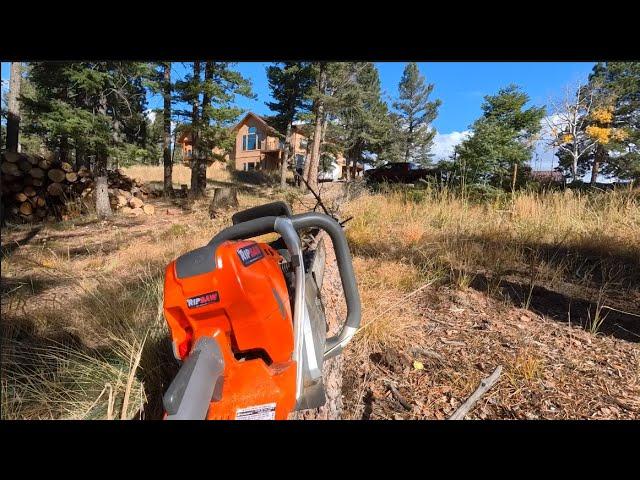 Tree work with the Ripsaw Husqvarna 572xp!