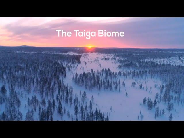 Taiga Biome