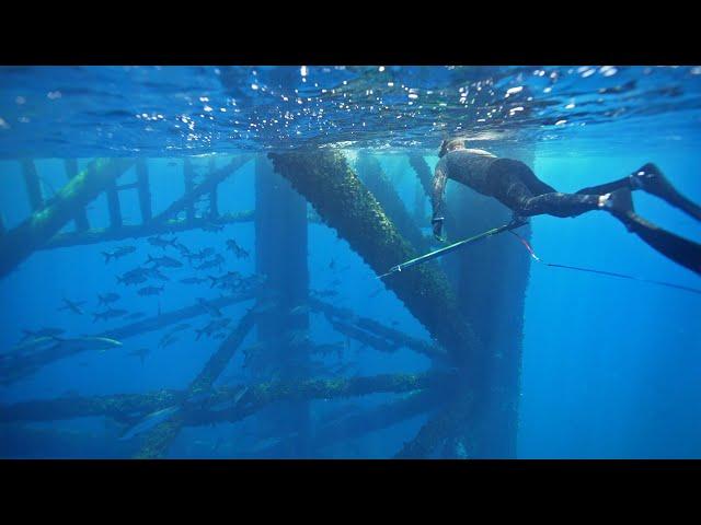 UNREAL Oil Rig Spearfishing Crystal Clear Water LAST TRIP in the PANGA || Gulf of Mexico