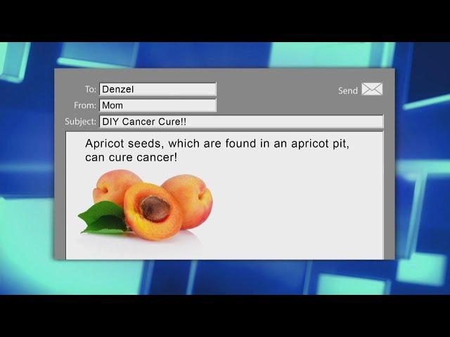 Apricot Seeds: Cure for Cancer?