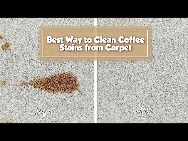 Best Way to Remove Coffee Stain from Carpet | STAIN FU