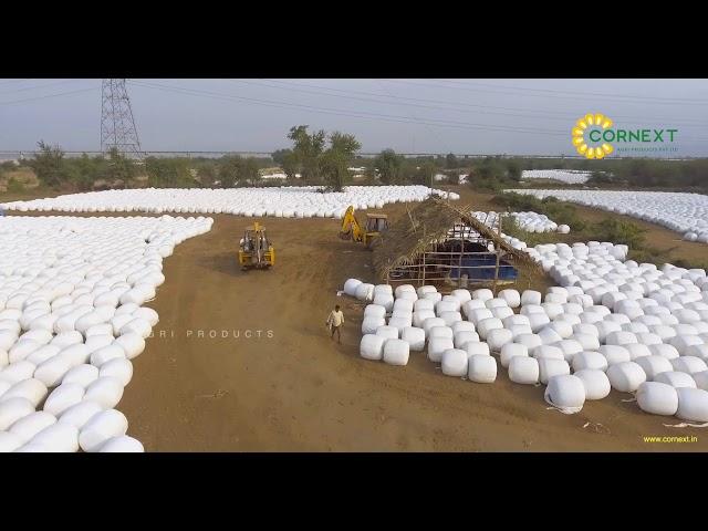 Cornext Silage Baling Operations - Drone Video (Call: 1800-121-7677)