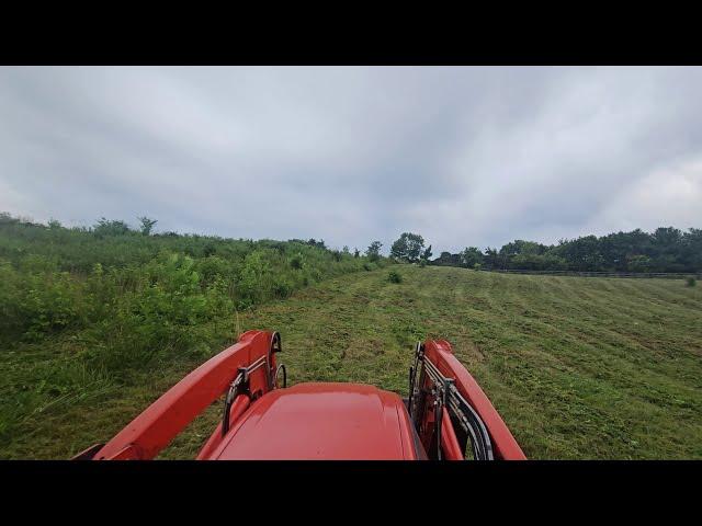 Overgrown to Mowed: Satisfying Bushhogging Transformation!