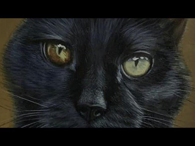 How I Paint a Black Cat in Oils & My Favorite Brushes for Painting Fur