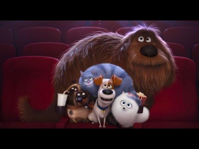 Find your spot at Cinemark for The Secret Life of Pets!