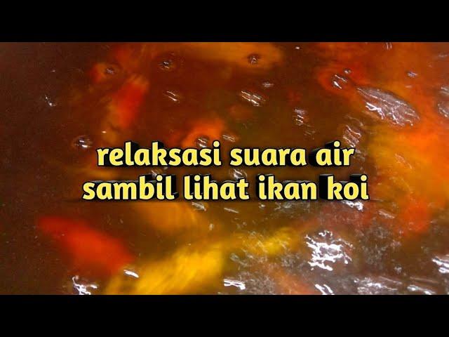 relaksasi suara air || sambil lihat ikan koi