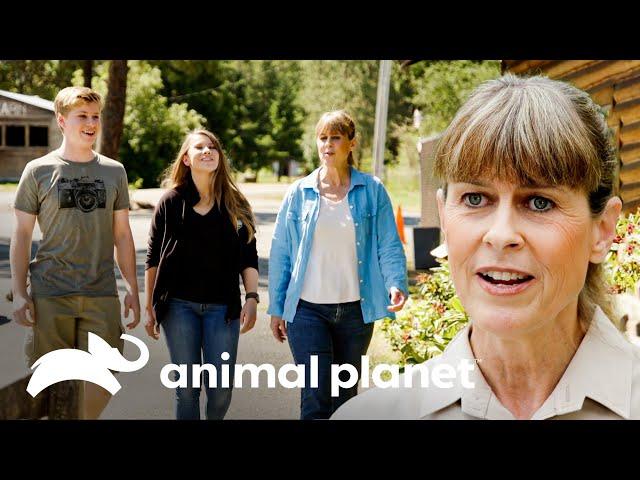 La familia Irwin visita Estados Unidos | Los Irwin: Datos Curiosos | Animal Planet