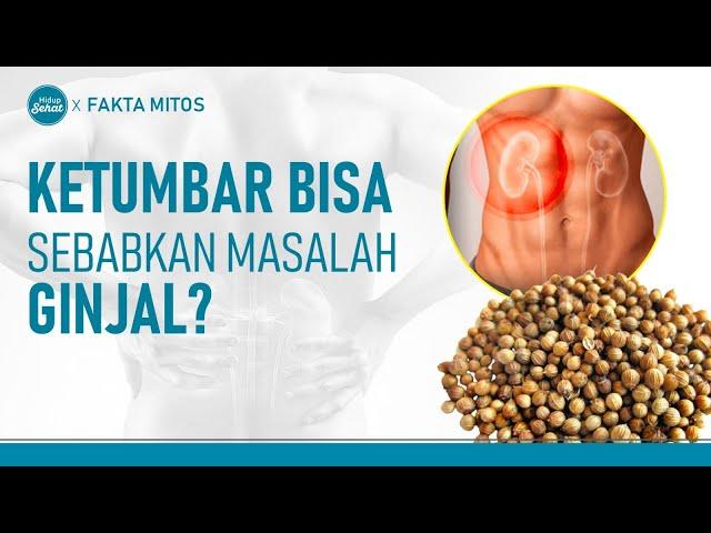 Konsumsi Ketumbar Berlebihan Sebabkan Masalah Ginjal? | Hidup Sehat tvOne