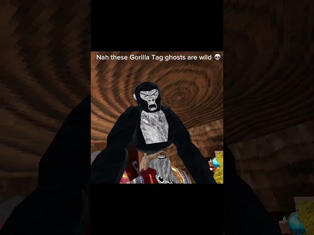 Gorilla Tag ghosts are wild  #gorillatag #gtag #vr #oculus #gtagghost #ghost #funny #fyp #shorts