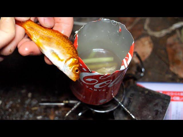 Cooking a GOLDFISH in a COKE can【ENG SUB】