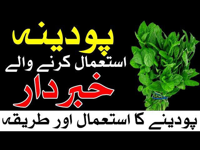 pudina ke fayde aur nuksan | Mint | پودینہ | Mehrban Ali | mint benefits